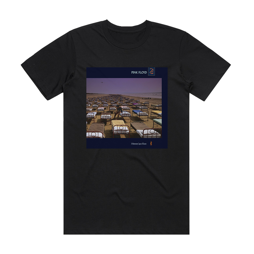 momentary lapse of reason shirt